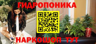 индика Ивантеевка