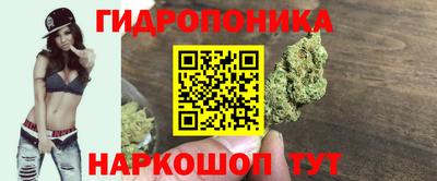 индика Ивантеевка
