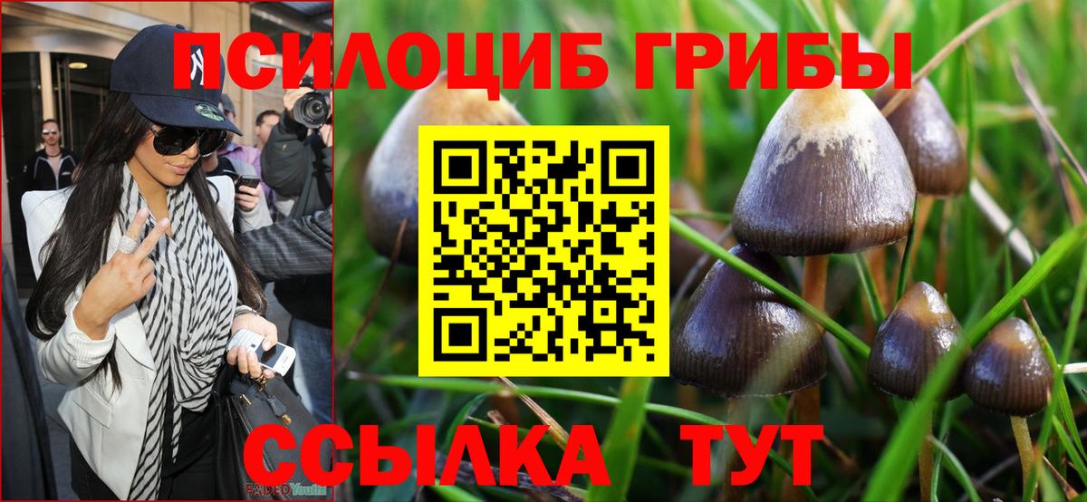 Псилоцибиновые грибы ЛСД  Псилоцибиновые грибы Magic Shrooms  Вход с VPN  Дивногорск 